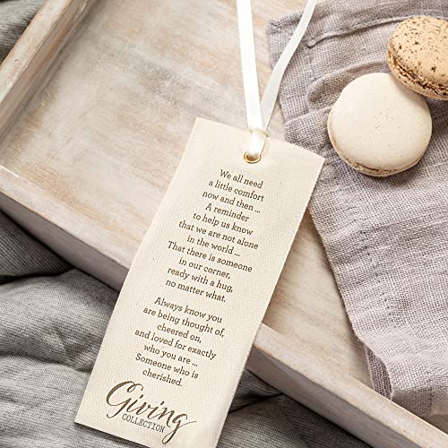 Demdaco Taupe Fuzzy Women's One Size Polyester Blend Crew Style Gift Boxed Giving Socks #TOP4