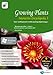 Price comparison product image Growing Plants Interactive Encyclopedia 3 (PC)