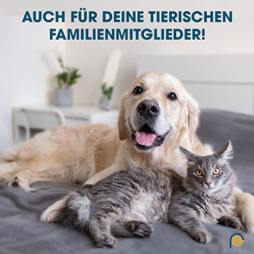 REMOS Zahnsteinentferner 2 in 1 Zahnpflege, für Hund, Katze & Menschen geeignet