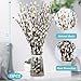 Natural Preserved Dried PussyWillow Branches for Vases, 15 Stems Real Willows, 17
