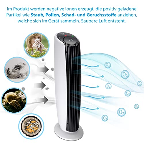 Vue 5
