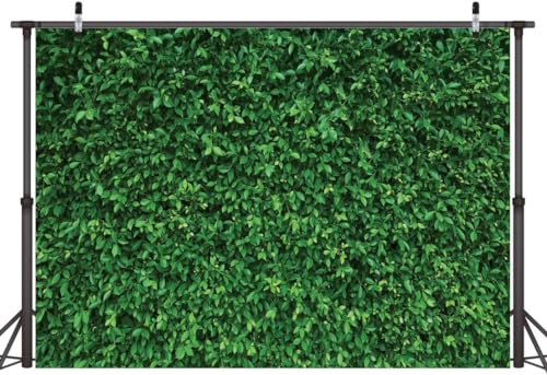 Backdropon Green Leaves Photography Backdrops Nature Backdrop Curtain Cloth Birthday Background Seamless Photo Booth Prop Backdrop Size 5Feet Height & 8Feet Width(5 * 8) (B0CXT7N3WJ) Amazon Price History, Amazon Price Tracker
