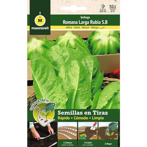 Mascarell Semillas, LECHUGA ROMANA HORTELANA, Cultiva Fácil, Crea tu Propio Huerto en Casa, Tira 5 Metros
