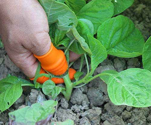ARURA (LABEL) Thumb Cutter Separator Finger Tools Picking Device Cutting Tool For Garden Harvesting Plant Gardening