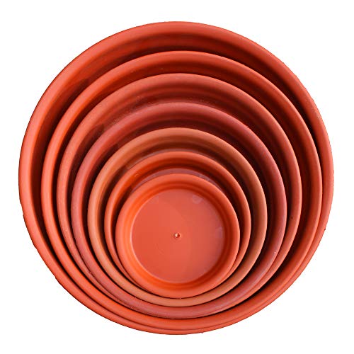 TrustBasket UV Treated Round Bottom Tray(Plate/Saucer) Suitable for 14 inch Round Plastic Pot-Terracotta Color-Set of 6 | Heavy Duty Highly Durable Plant saucer Gamla for Indoor Home Decor & Outdoor Balcony Garden