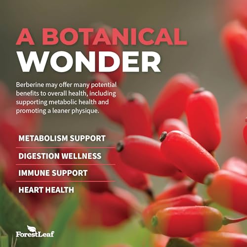 Forestleaf Berberine Supplement 1300Mg Per Serving- 97% Tested Ultra High Potency Berberine Hcl With Ceylon Cinnamon, Bitter Melon & Gymnema, 10:1 Extract Berberis Supplements, Weight Management thumb #5