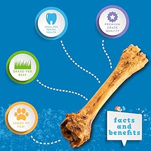 Jack&Pup Dog Bones for Large Dogs – 8-11 Inch Roasted Meaty Beef Shin Bone (5 Pack) – Large Dog Bones for Aggressive Chewers – Long Lasting All Natural Big Dog Bone (5 Piece Pack)