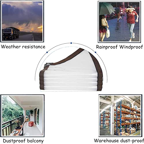 Lona transparente para plantas e invernadero que protege del frío 4