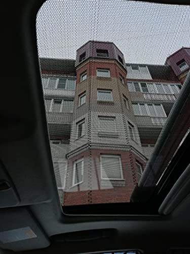 NewL Schwarze, perforierte Vinylfolie, Einwegsichtfolie, Sichtschutz, Autofolie, Aufkleber mit Messer und blauem Schaber (40 x 107 cm)