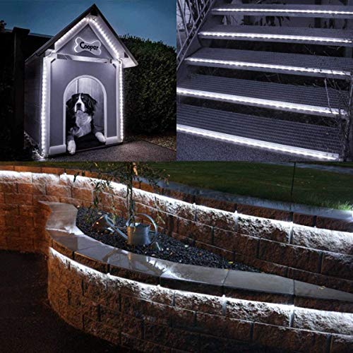 Walcut Flexible Crystal Clear Pvc Tubing Led Rope Light Indoor/Outdoor Boat Decorative Party Christmas Holiday Business Restaurant Light Kit, 110V, Cool White #TOP6
