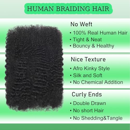 Afro Kinkys Bulk Human Hair 14 inch 30g unprocessed Human Hair for Braiding Hair Afro Kinky braids human hair Dreadlocks Extensions Loc Repair Twist Braiding Double Drawn Natural Black - Image 3