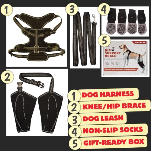 Dog Hip Dysplasia Support Brace. Dog ACL Knee Brace for Back Hind Leg; Bonus Leash and Socks; Adjustable Metal Splint Support Harness for Back Legs and Hip; Easy On Off Hook and Loop Closure - size XL by BARKVERA - Used condition - Image 2