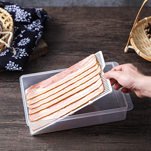 Komax Daykips Bacon Keeper for Refrigerator | (Set of 2) BPA-FREE Plastic Bacon Container for Fridge | Perfect for Bacon, Deli Meat, Lunch Meat, and Cheese Storage - Thumbnail 2