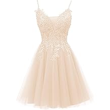 Homecoming Dresses Prom Party for Teens Short Tulle Cocktail Lace Appliques Gowns Peach