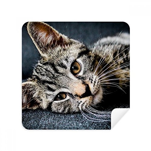 Nettoyage téléphone au bureau : 2 tissus lunettes chat rayé en suédine douce