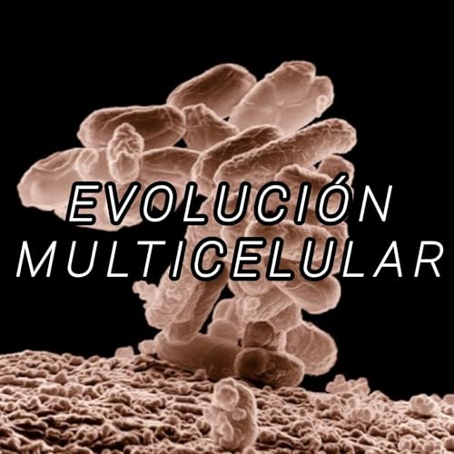 La Pluricelularidad 🪸🎧