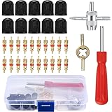 JUTOSU タイヤバルブコア タイヤ修理ツール タイヤエアバルブ装着ツール 変換アダプター エアバルブレンチ 虫回しドライバー タイヤツール 取り外し タイヤ修理用 取り外し バイク 車用 自転車用 耐久性 軽量 33点セット
