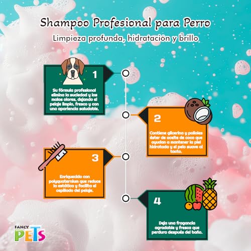 Reviews de Present pets precio más recomendados. 3 Imagen adicional