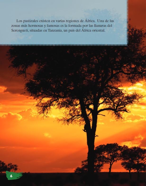 Los pastizales africanos (African Grasslands) (Spanish Version) (TIME FOR KIDS(r) Nonfiction Readers) (Spanish Edition) - Image 6