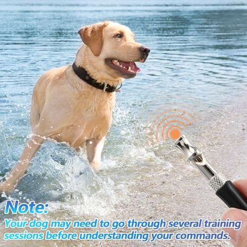 LXUEJIE 3 Stück Hundepfeife Rütter Rückruf, Hundepfeife Hochfrequenz Lautlos with Lanyard Erziehungshilfen für Hunde Pfeifen Hundetraining Hundepfeifen Vielseitig Erziehungshilfen für Trainieren Hund