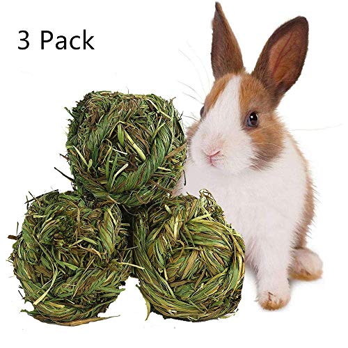 23 Best Rabbit Chew Toys in 2020 (Review and Guides)