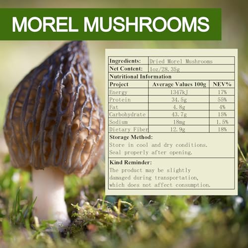 Generic Wild Organic Dried Morel Mushrooms thumb #6