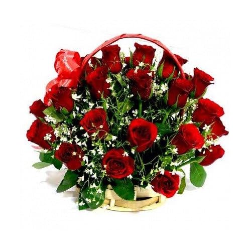 Red Rose Booke Images
