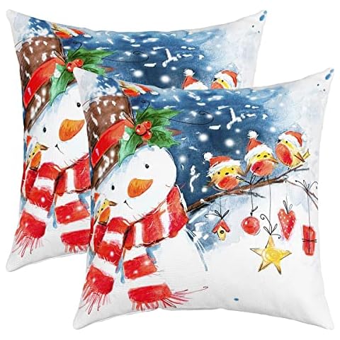 Watercolor Snowman 22"x 22" Pillow Cover for Sofa Bed,Christmas New Year Snow Throw Pillow Case Cover,Cute Birds Snowy Brunch Double Sides Print Cushion Cover Room Decor,2 Pack Cover