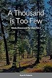 A Thousand is Too Few: Words, Pictures and The Word, Vol. 2