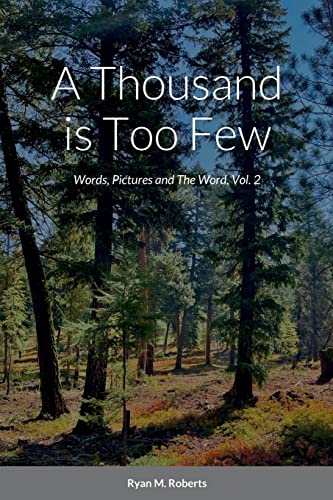 A Thousand is Too Few: Words, Pictures and The Word, Vol. 2
