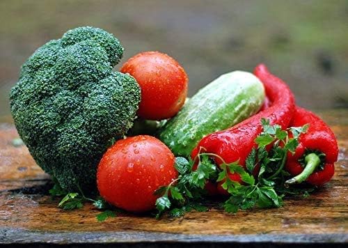 A vibrant still life of freshly harvested vegetables, including broccoli, red tomatoes, a green cucumber, and red bell peppers, with green herbs.