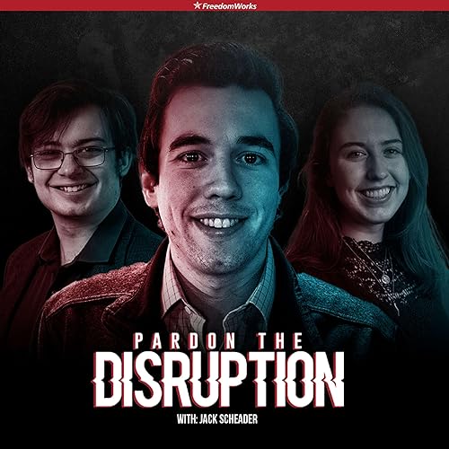 Pardon The Disruption cover art