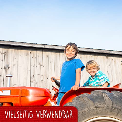 LIN - Pop Up 3D Biglietto di auguri per un