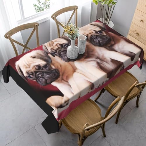 Aozhiswe Mantel Antimanchas Rectangular Lindo Perro Mantel de Mesa Perro 140x180 cm Manteles Impermeable Poliéster Protector Comedor para Interior Exterior a/1784