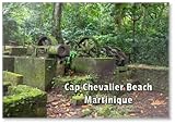 Sugar Cane Factory Ruins near Cap Chevalier Beach – Martinique Excursions Ideas...