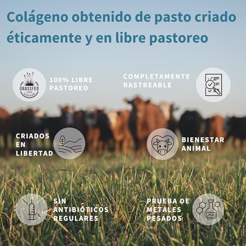Colageno-Hidrolizado-Puro-Proteina-en-Polvo-Apta-Keto-Peptidos-de-Colageno-Bovino-Sin-Sabor-400-gr-100-Libre-Pastoreo-Disolucion-Instantanea-40-Dosis-de-Igennus