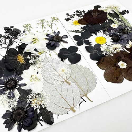 Cayway 2 Pack Dried Pressed Flowers for Resin Molds Black Real Pressed Flowers Dry Leaves Kit Natural Dried Pressed Leaves for Art Crafts Resin Scrapbook Supplies Soap Candle DIY - Image 4