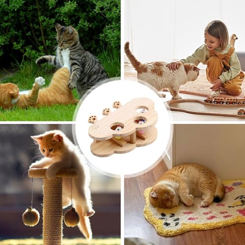 Jouet à gratter pour chat en bois 28 x 21 cm de qualité durable