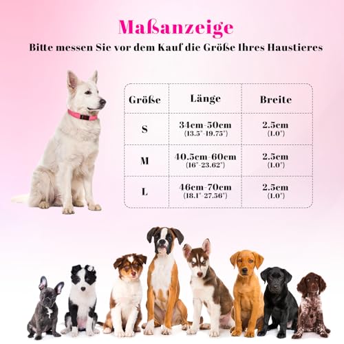 Leuchthalsband Hund, Hundehalsband Leuchtend Aufladbar mit Batteriekontrollleuchte, Wasserdichtes LED Hundegeschirr Leuchtend, Einstellbare Größe 3 Blinkende Lichter
