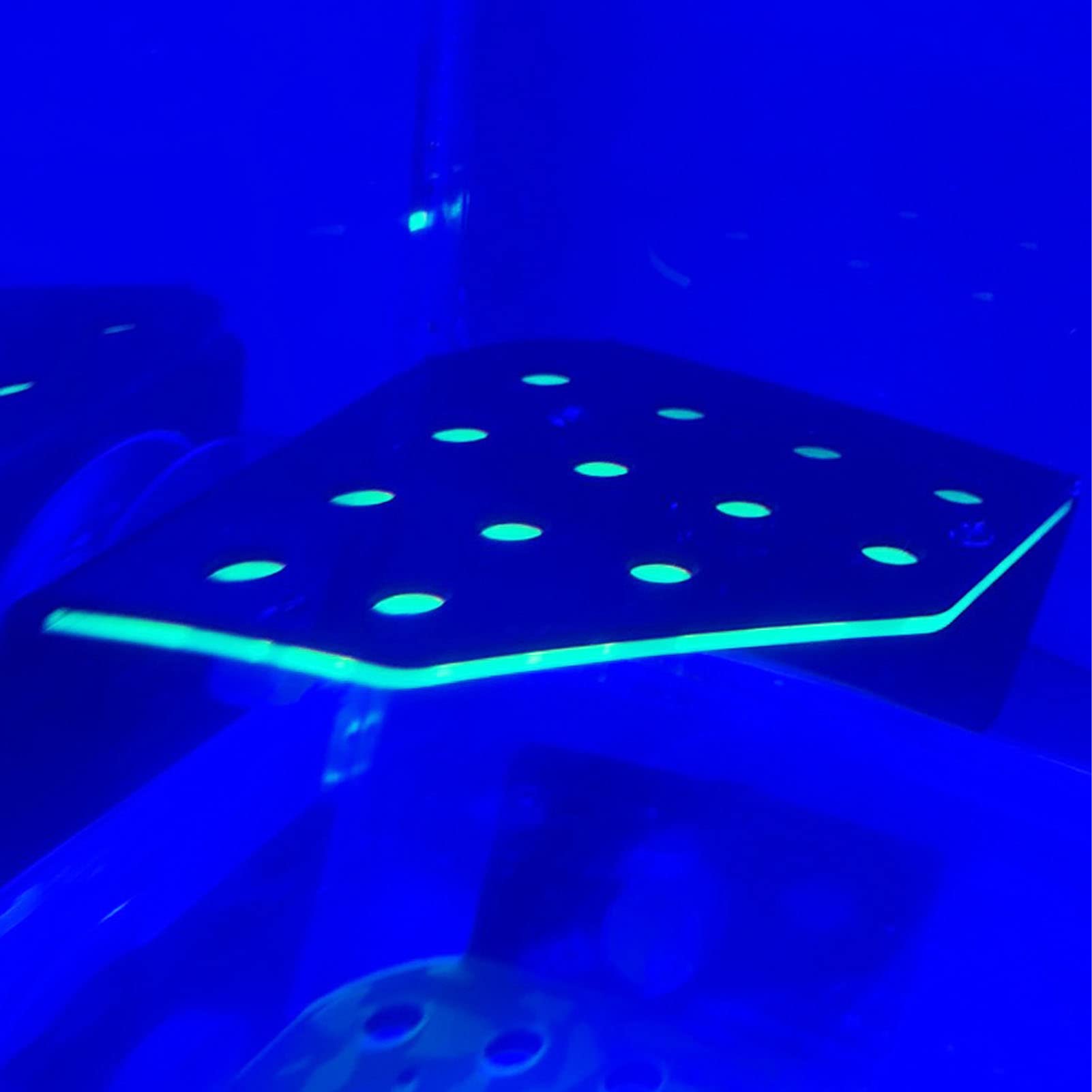 Pssopp Coral Frag Rack Fluorescent Green Coral Frag Holder 13 Holes Double Layers Coral Frag Plug with Magnetic Suction for Fish Tank Aquarium - Image 2