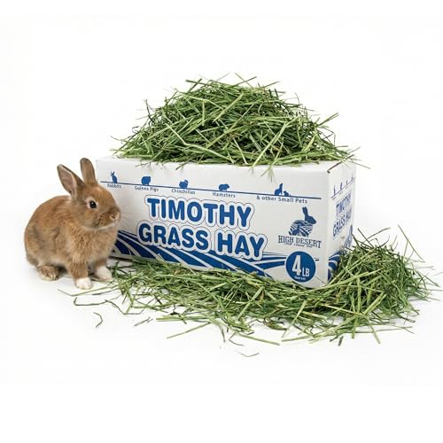 High Desert 2nd Cutting Timothy Hay for Rabbits, Guinea Pigs, Chinchillas and Small Pets, Soft Leafy for Daily Feeding and Digestive Health, Natural Rabbit Food and Guinea Pig Hay for Hay, 4 Lb Box