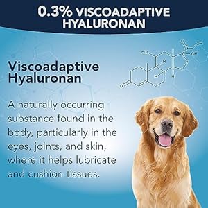 NOVEHA Pet Gel Eye Drops with 0.3% Viscoadaptive Hyaluronan | Eye Solution for Severe Dry Eyes – Long Lasting Hydration, Reduces Nuisance, Swelling & Dryness – Eye Lube for Dogs and Cats (2x10mL)
