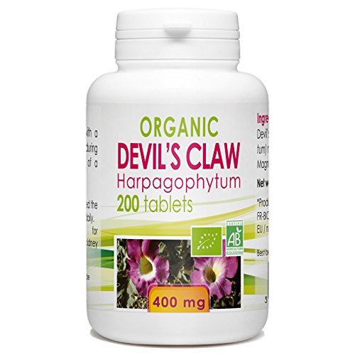 Best Devils Claw For Dogs