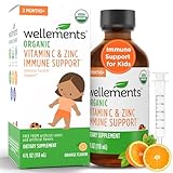 Wellements Organic Kids Immune Support* Syrup with Vitamin C & Zinc 2 Months+ (4 Fl Oz) | Immune Support* for Kids & Toddlers, Orange Flavor | Free from Dyes, Parabens & Top 9 Most Common Allergens