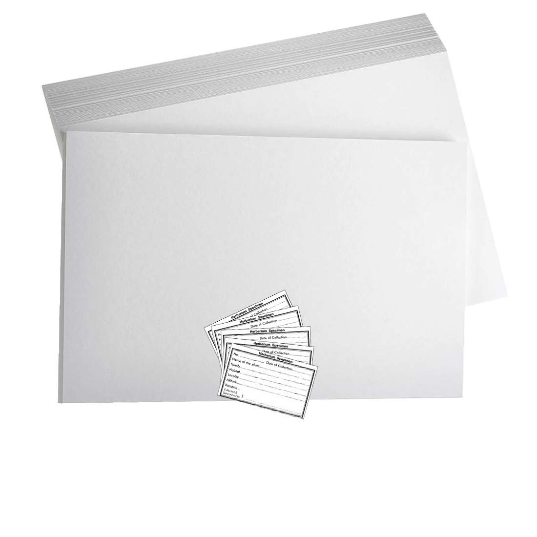 CRAFTWAFT HERBARIUM SHEET AND LABEL FOR PLANT SPECIMENS PACK OF 10 (B07RXX5Z1S) Amazon Price History, Amazon Price Tracker