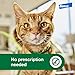 Advantage XD Large Cat Flea Prevention & Treatment For Cats over 9lbs. | 4-Topical Doses, 2-Months of Protection Per Dose