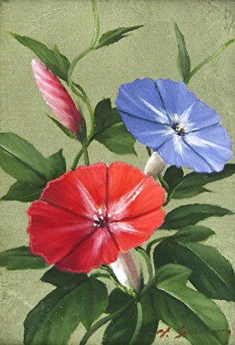 油彩画　安田英明　朝顔（SM号）額寸:タテ380ｘヨコ310（mm） 油彩画 安田英明 朝顔（SM号）額寸:タテ380xヨコ310（mm） Amazon.co.