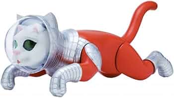 最終値下げ～シップスキャット コスモレッドカラー ヤノベケンジ