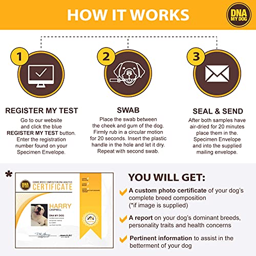 Dna My Dog Genetic Testing Kit – Mixed Breed Identification, Personality Traits – for Puppies to Adult Dogs, Non… - Image 5