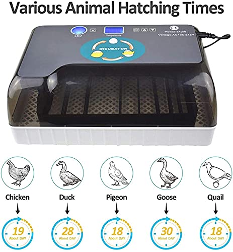 12 eieren automatische ei incubator, LED High-efficiency Automatische ei draaien en temperatuurregeling, automatische… - Afbeelding 4